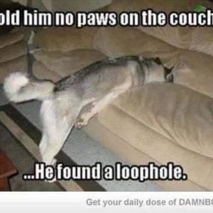 Meet your Posher, Bryan